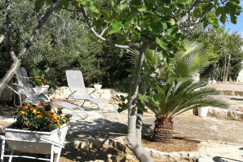 Villa Arenella Vieste Buitenkant foto